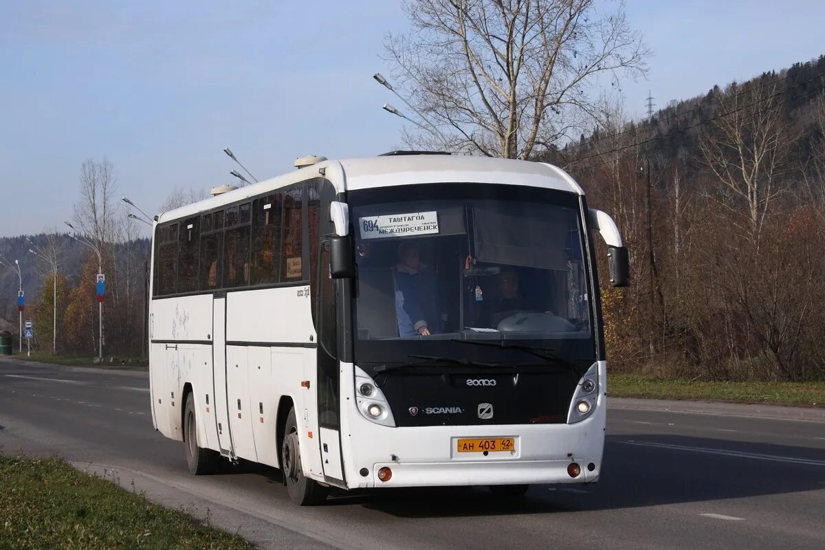 Новокузнецк новосибирск автобус купить. ГОЛАЗ 52911. ГОЛАЗ Скания 52911. ГОЛАЗ 52911 Сочи. ГОЛАЗ 133.