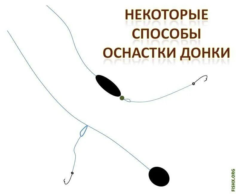 Как ловить форель на фидер. Как ловить форель на фидер