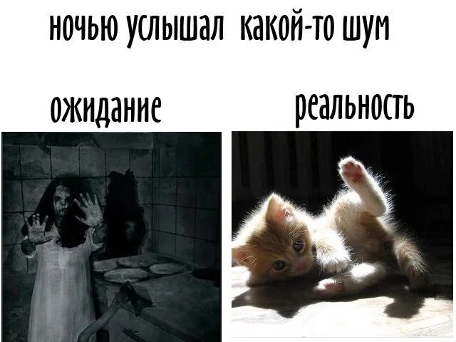 Причины пульсирующего шума в ушах. Пандиастолический шум это. Ухо слух. Постукивает спереди на ваз 2107. Левое колесо вывернулось на хонда аккорд 6.