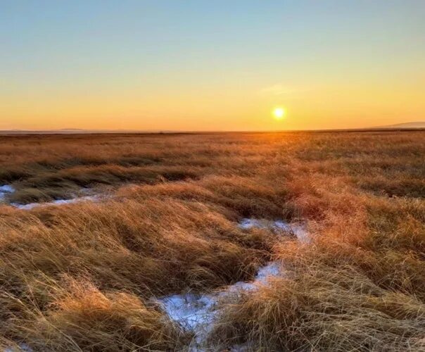 Песни степь да степь кругом слушать. Степь кругом. Глухая степь. Степь степь кругом. Зимняя степь.