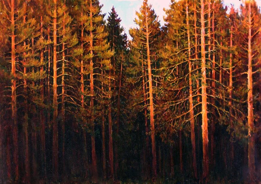 просека». шишкин ель этюд. герасимов андрей. лес освещенный солнцем. шишкин сосны освещенные солнцем.