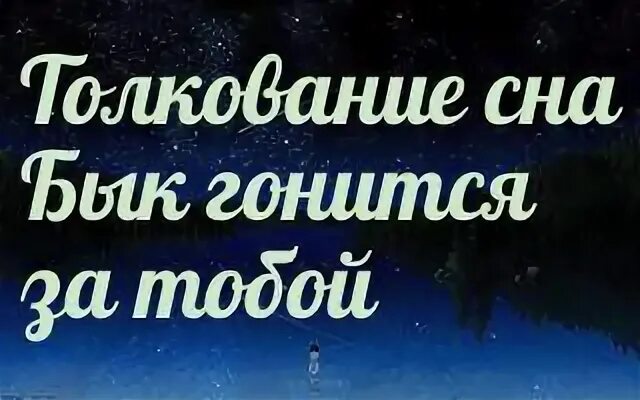 К чему снятся быки мужчине. Бык во сне к чему снится. Сонник-толкование снов быки. К чему видеть во сне Быков.