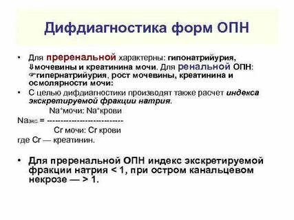 Почечный индекс