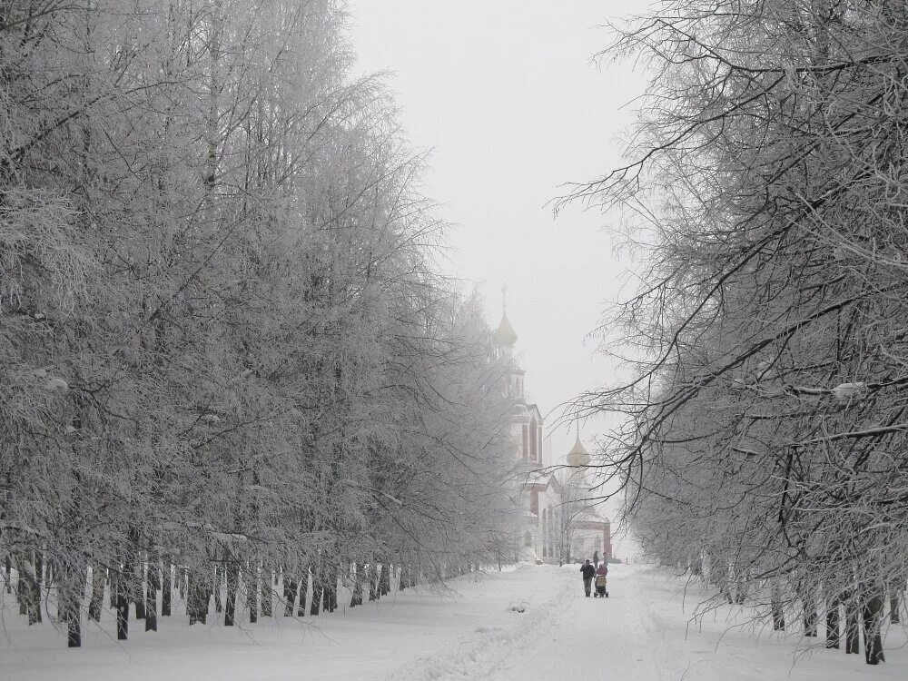 белый снег. холодный зимний вечер. зима любовь счастье. зимние цветы уличные. встреча зимой.