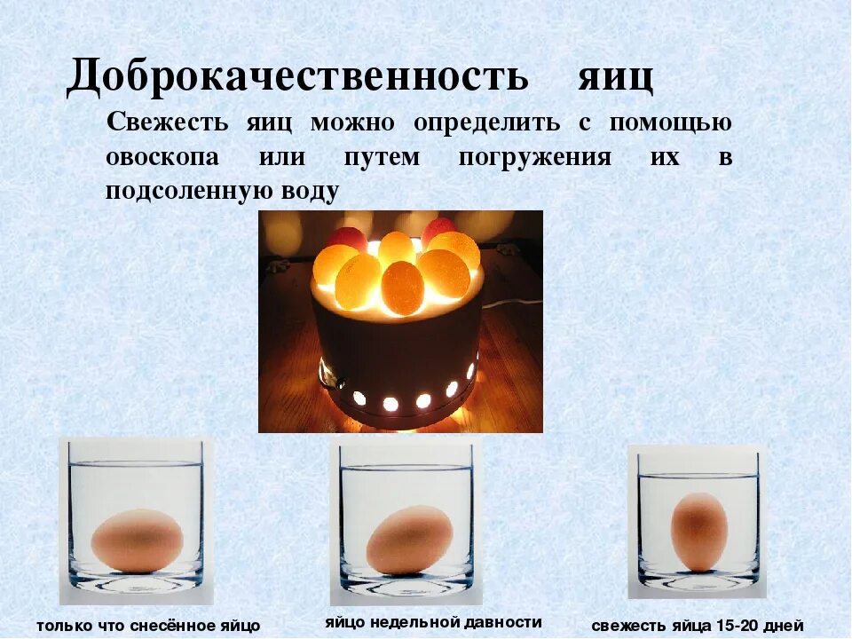 Почему всплывает сырое яйцо в холодной. Свежесть яиц. Определить свежесть яиц. Определение свежести яиц. Как проаеритьсвежесть яиц.