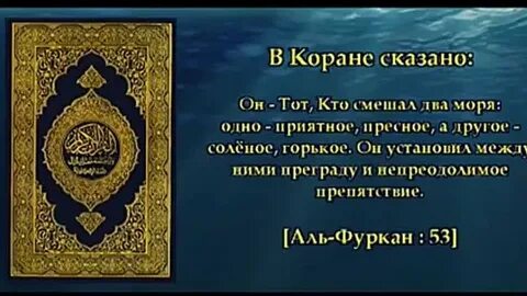 Два корана