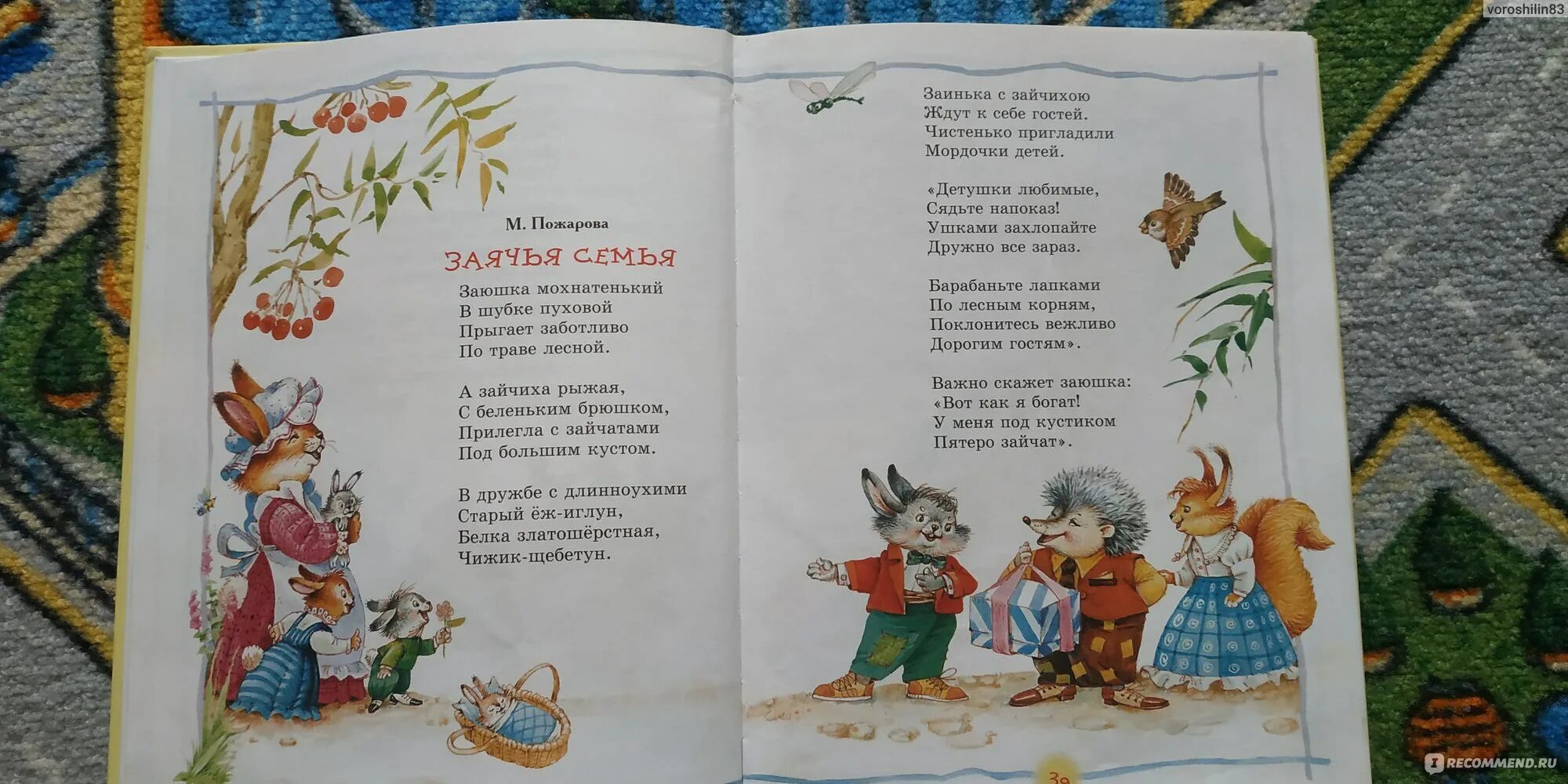 Пять сучек