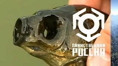Мутация земли