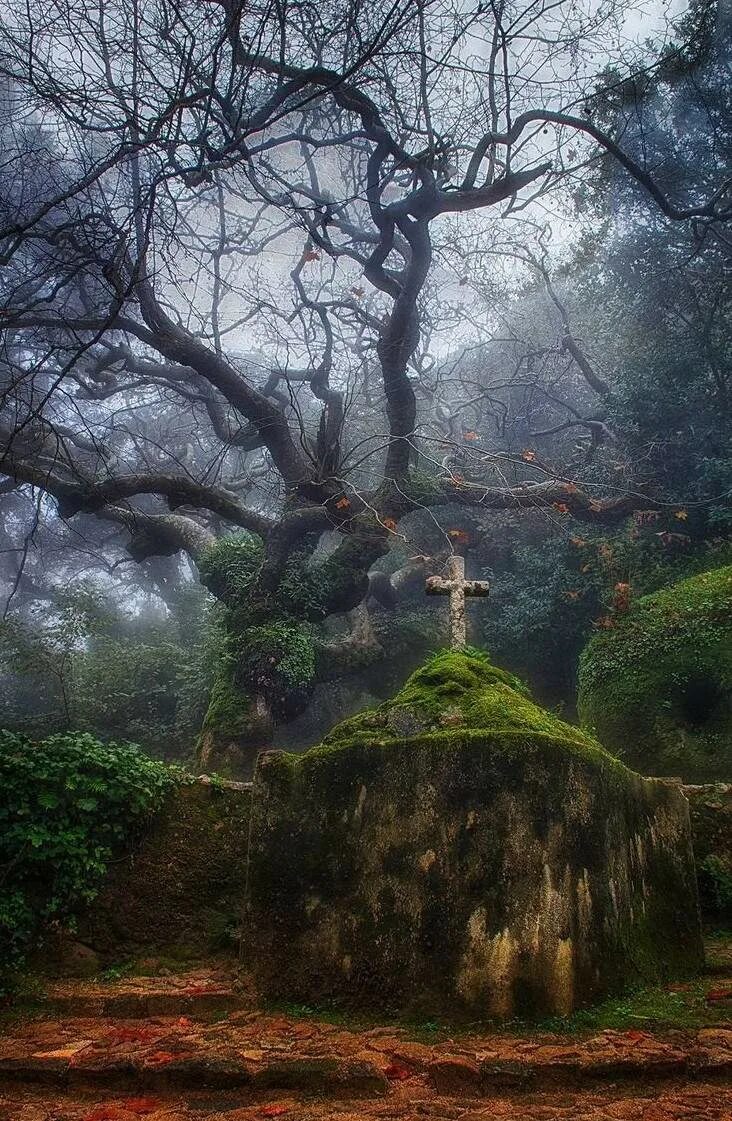 Интересные загадочное