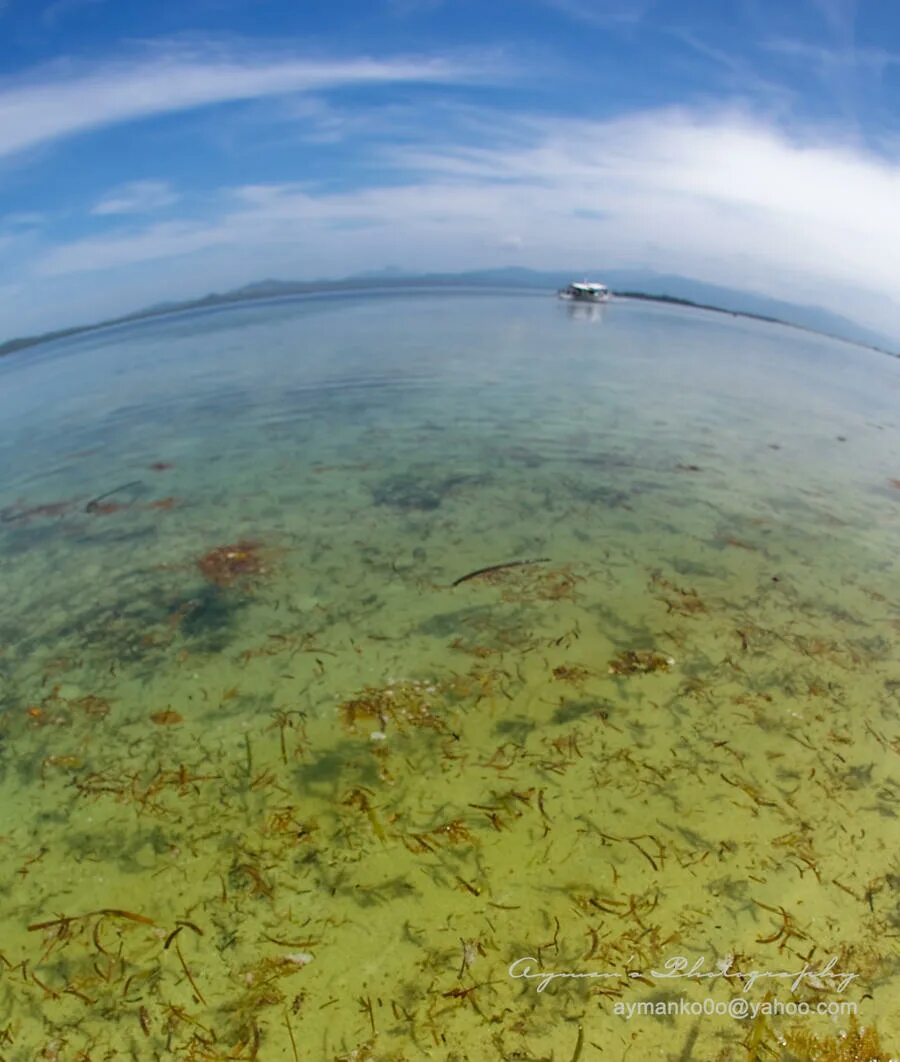 Желтое море является морем. Желтое море. акватория желтого моря. желтое море фотографии. желтое море реальность.