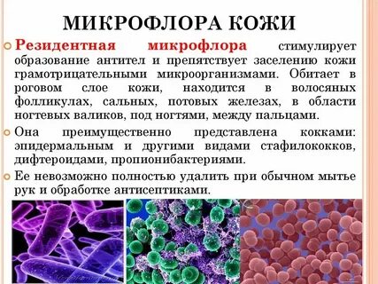 Условно патогенные анаэробные микроорганизмы у мужчин
