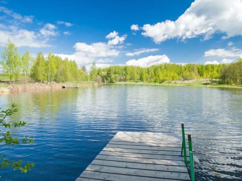 Озеро Карповка. Озеро в Карповке. Участки в лесу у озера Московская. КП лес и озеро на озере пионерское.