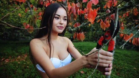 Li moon