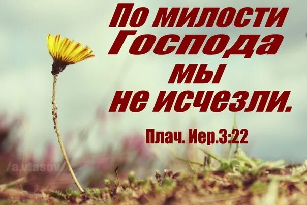 Милость обновляется каждое утро