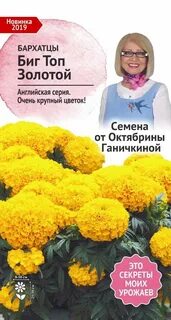 Биг топ отзывы