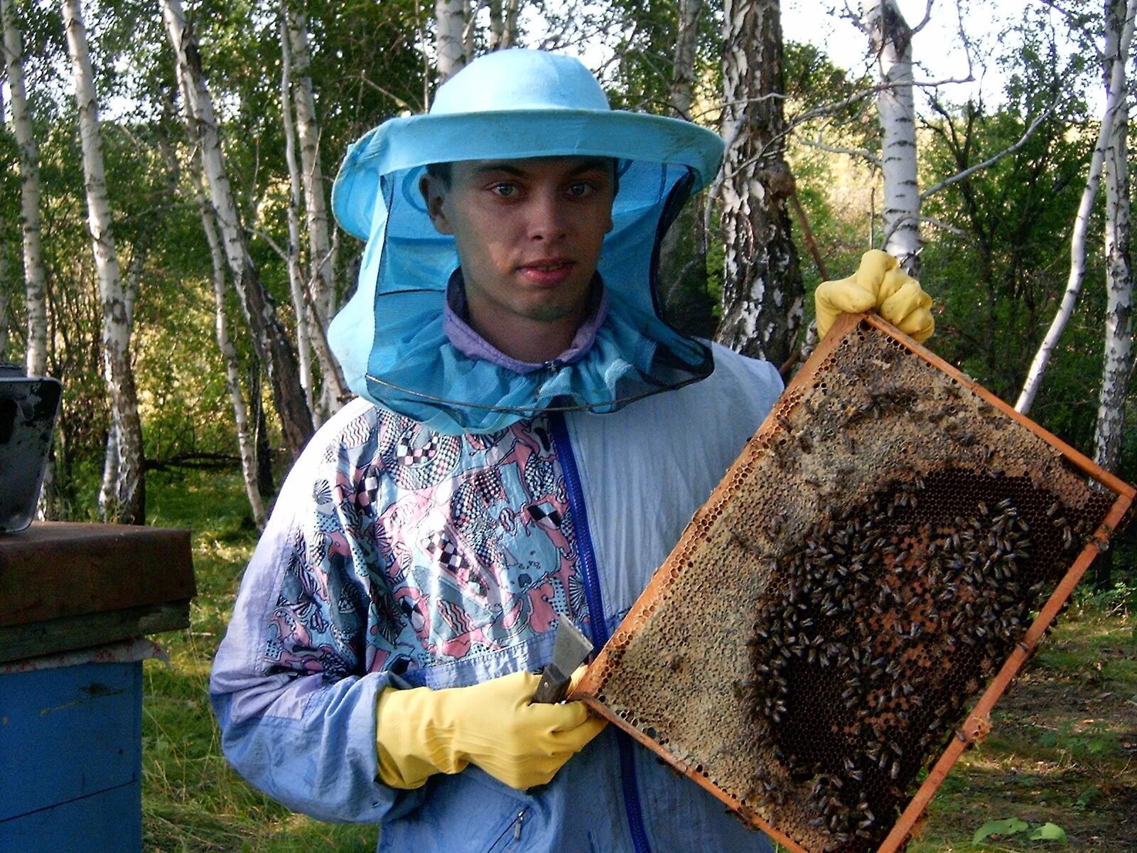 Пасечник с медом. Пасечник на пасеке. Пасечник пчеловод. Пасечник с пчелами. Когда собирают мед