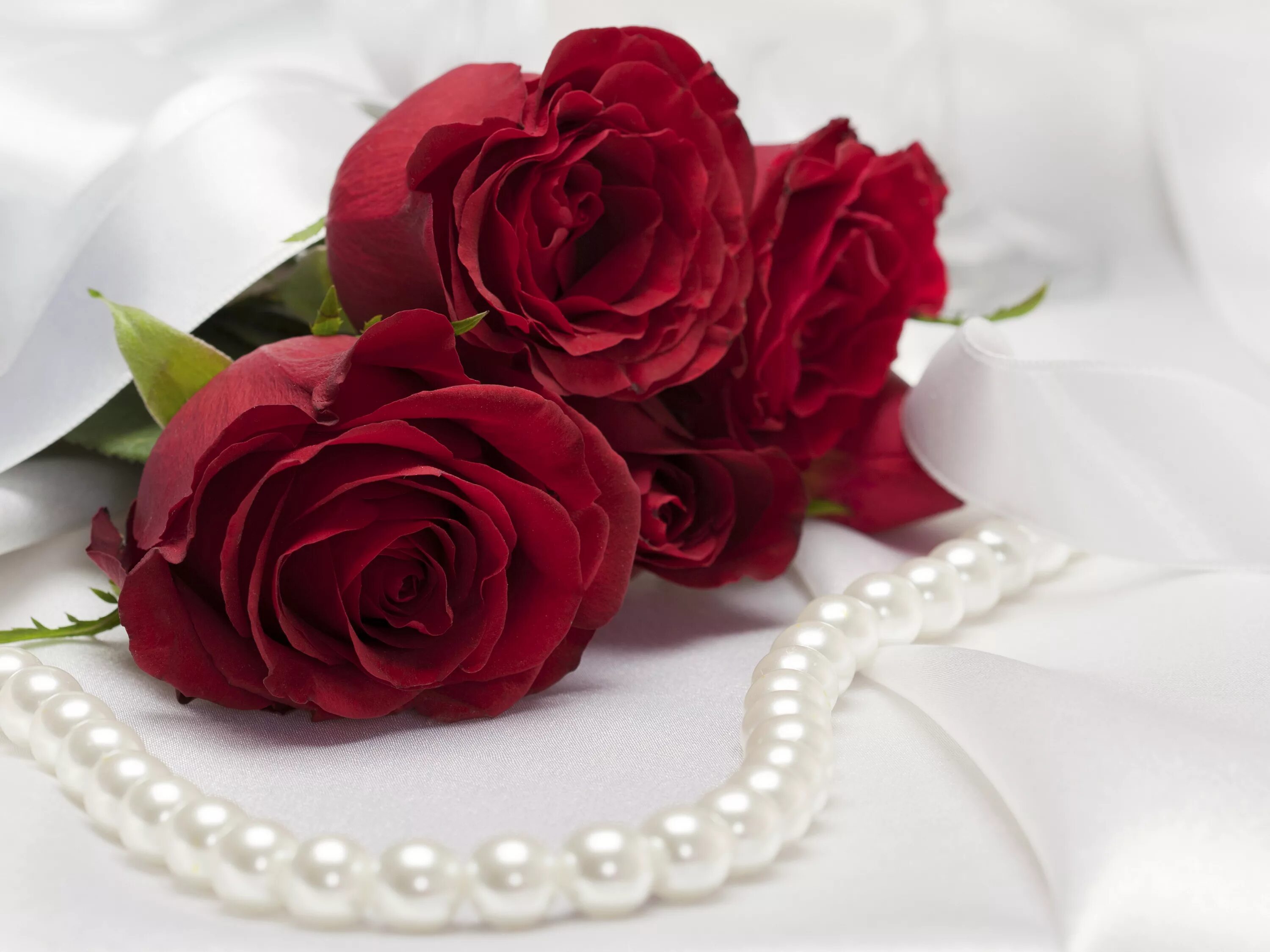 Букет для любимой женщины. Красивый букет роз для девушки. Красивые цветы для любимой девушки.