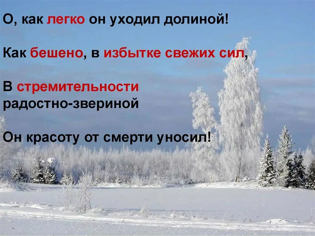 Бунин густой зеленый ельник. И.А.Бунина "густой зеленый ельник у дороги...". Стихотворение густой зеленый ельник у дороги. Густой зелёный ельник у дороги Бунин стихотворение. Стихотворения густой зеленый ельник