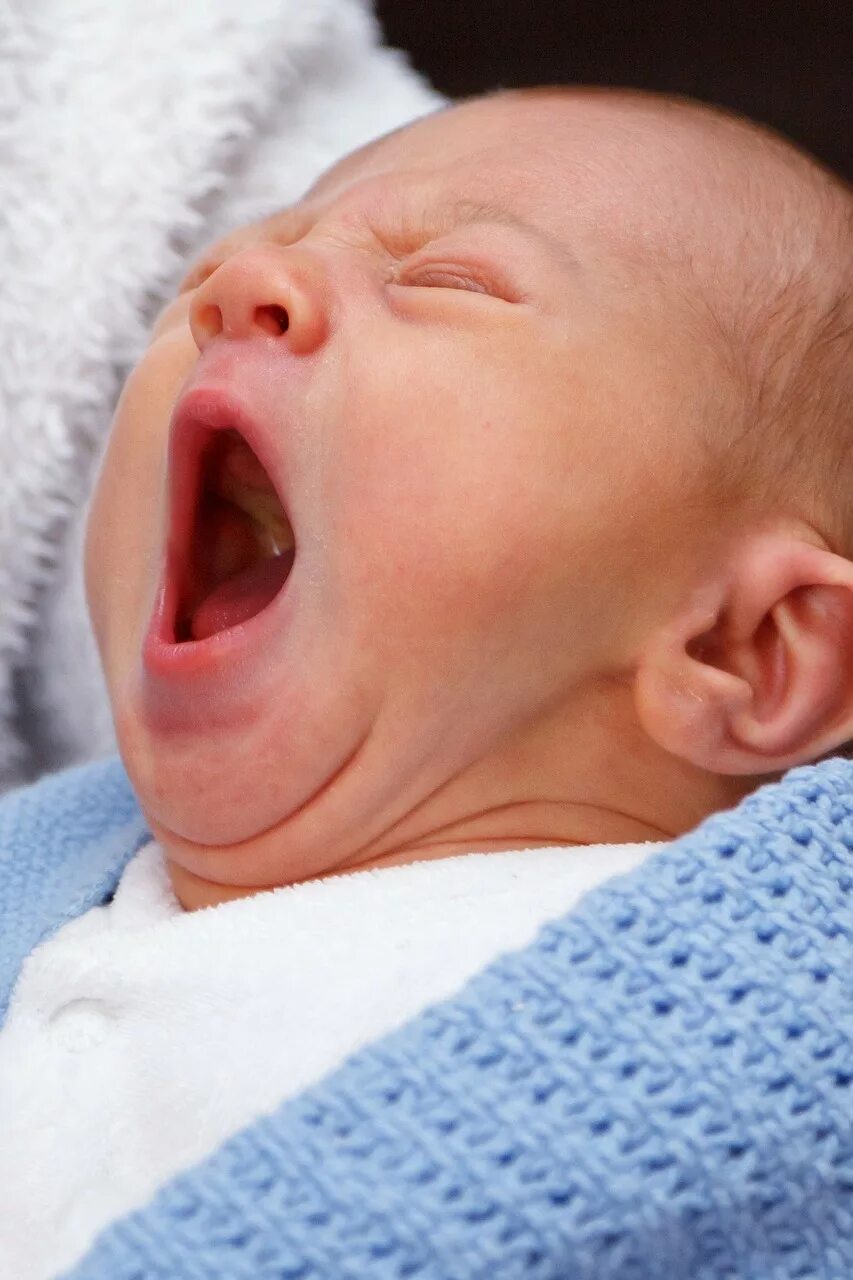 Почему новорожденный высовывает. Новорожденный. Новорожденный ребенок. Младенец зевает.