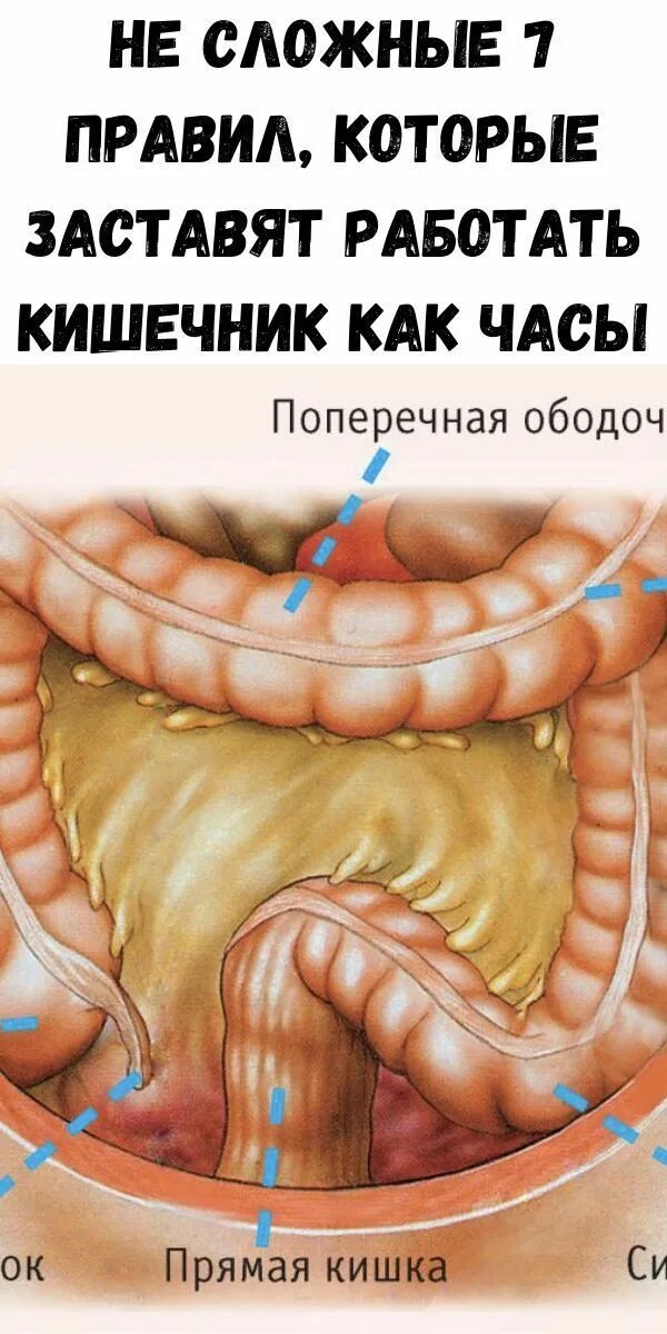Ленивый кишечник самостоятельно без слабительного. Как заставить работать кишечник.