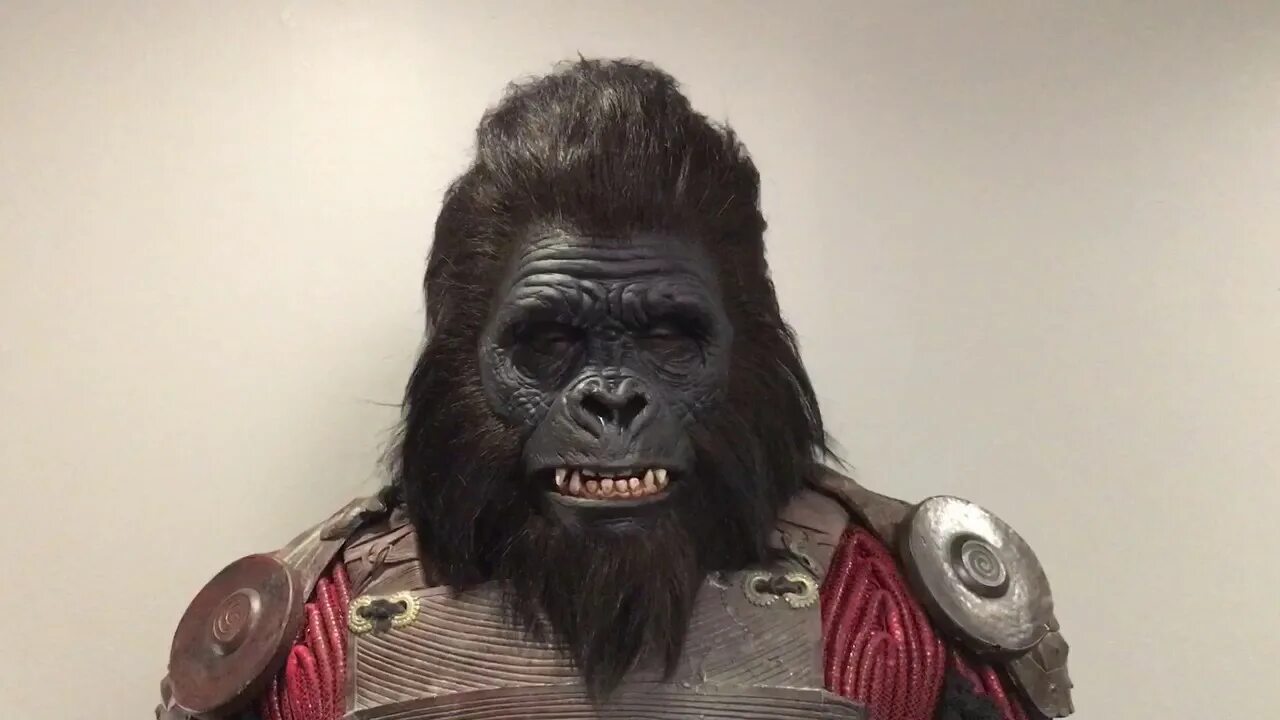 Песня гориллы из маски. Маска Паши техника горилла. Маска обезьяны.