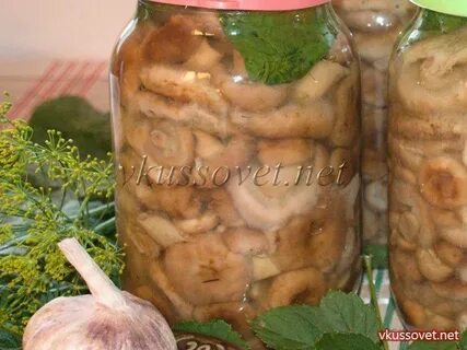 Белянки соленые рецепт