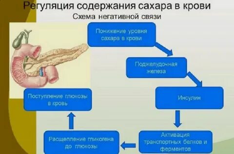 Сахара железа