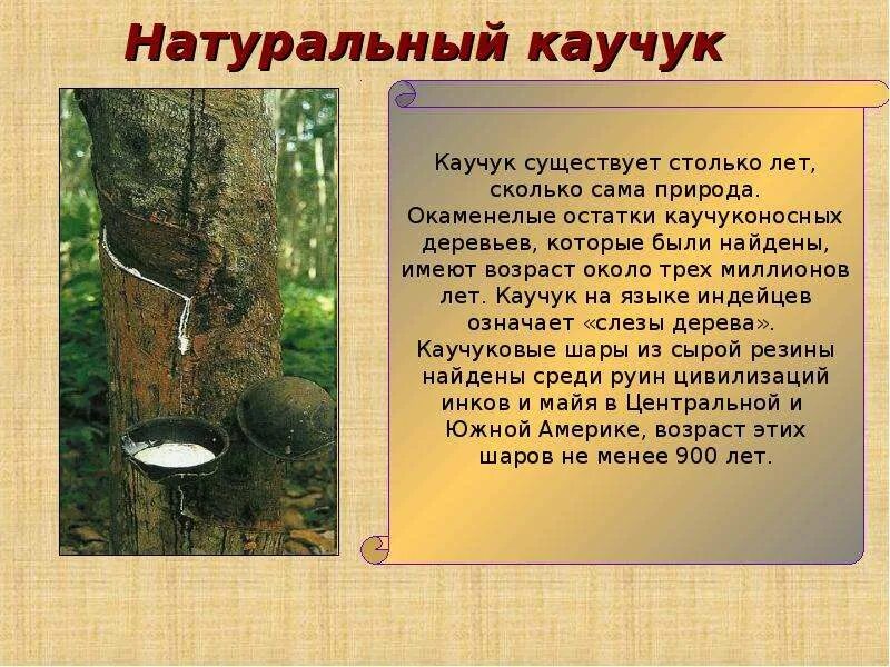 Каучук сообщение. Каучук презентация. Натуральный каучук. Натуральный каучук из чего. Натуральный каучук презентация.