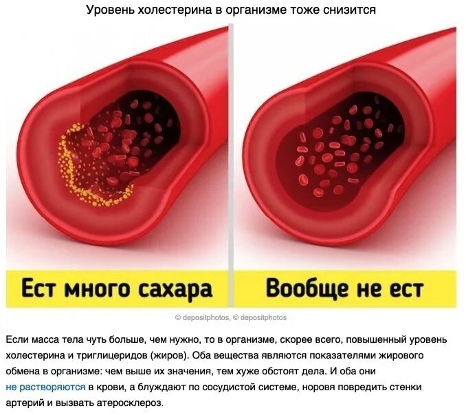 Съедать не более одного