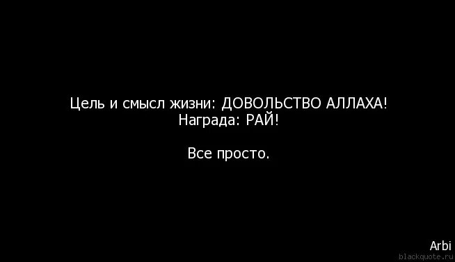 Исламская цитата про жизнь. Наша цель довольство Аллаха а не людей. Цитаты Аллаха про жизнь. Цель довольство Аллаха. Исламские цитаты про жизнь с глубоким смыслом.