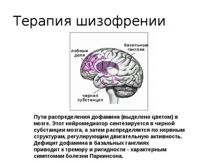 Заболевания мозга шизофрения