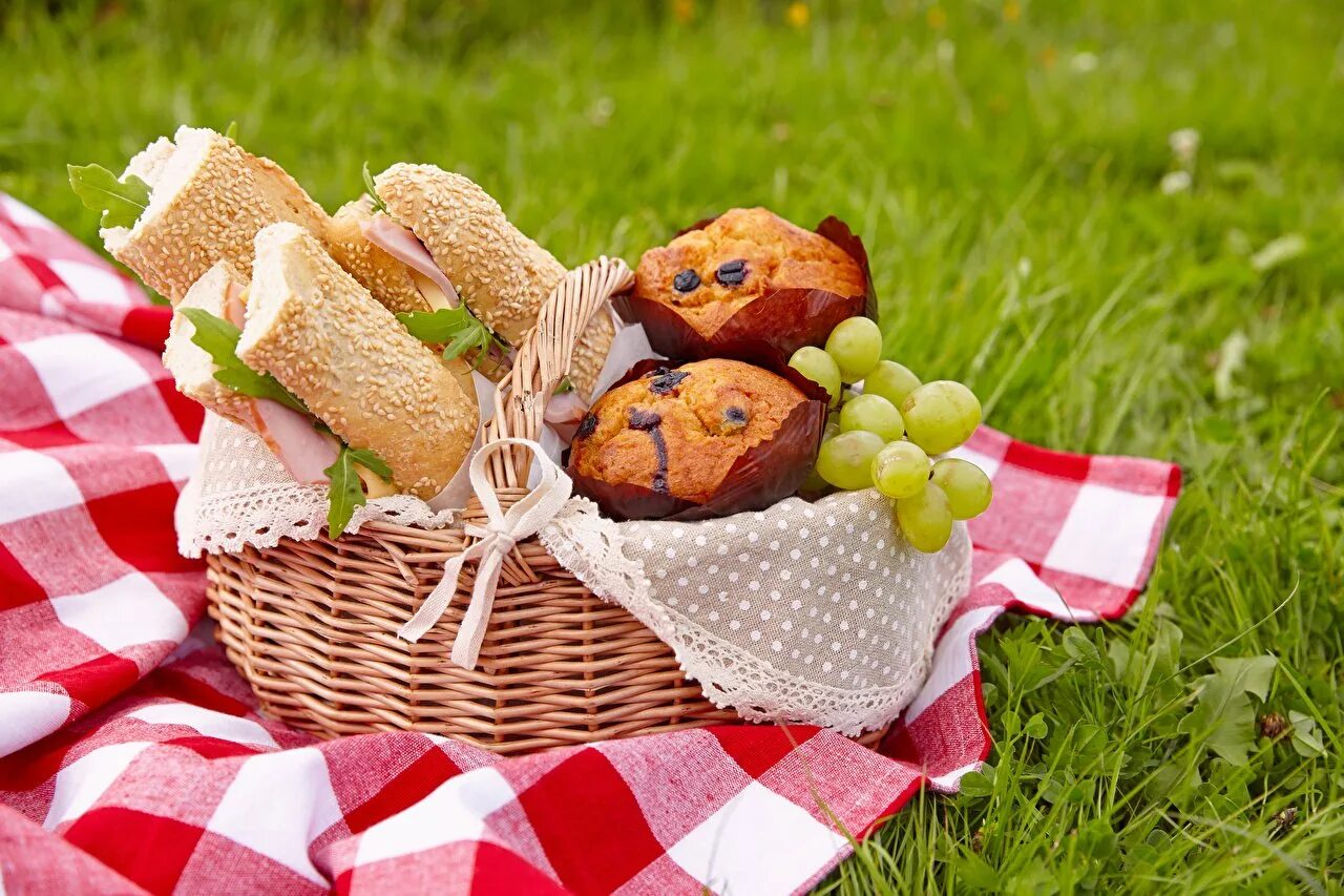 Пикник цвет. Корзинка для пикника с едой. Пикник на природе. Выпечка в корзинке для пикника. Корзинка для пикника с продуктами.