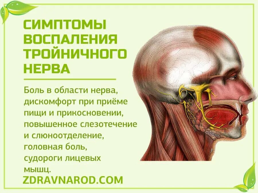 Воспаление тройничного лицевого симптомы. Воспаление троичногонерва. Воспаление тройничного нерва. Воспаление тройничного лицевого нерва. Воспаление нерва можно ли греть