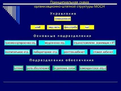 Организационно штатные вопросы