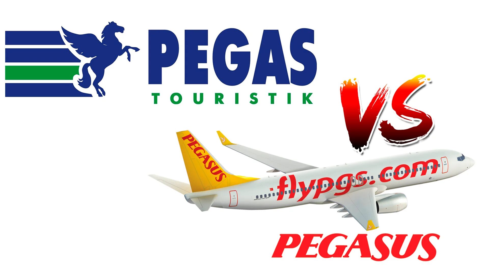 Пегасус купить авиабилеты на официальном сайте. Пегас Флай авиакомпания логотип. Пегас Туристик авиакомпания. Эмблема авиакомпании Пегасус. Пегас Туристик самолеты.