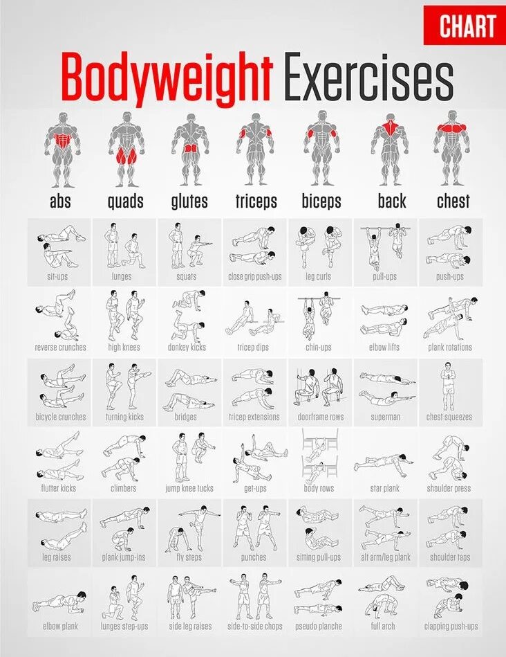 This exercise difficult. Bodyweight exercises. bodyweight workout. bodyweight exercise. bodyweight rows упражнение.