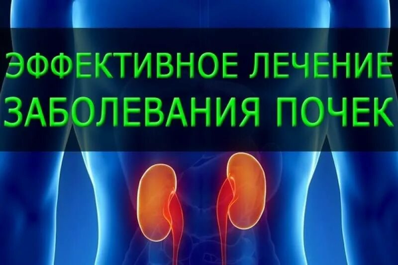 Застудила почки чем лечить у женщин. Застудила почки чем лечить у женщин