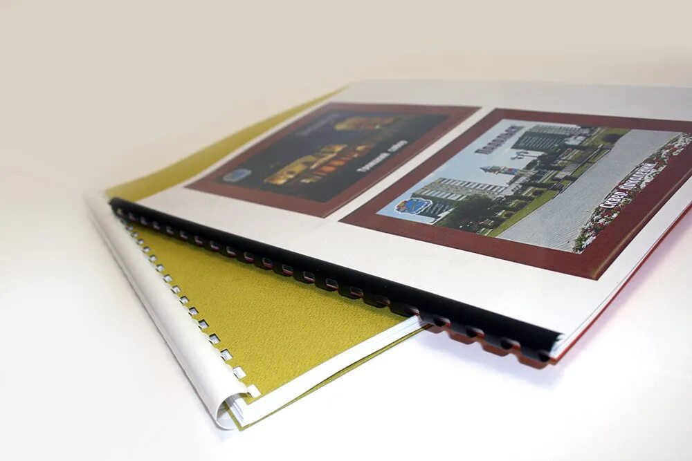 С листов нескольких книг. С листов нескольких книг. Изображение открытой книги. Обложка для переплета картон. С листов нескольких книг.