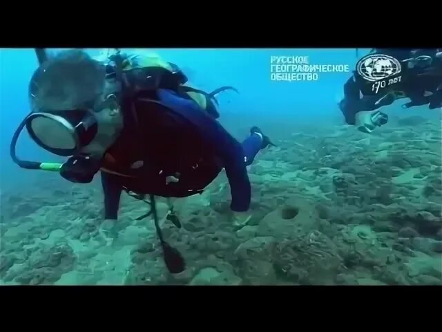 Морт геншин загадка под водой. Ватацуми геншин. Песнь русалки аниме. Геншин импакт русалки. Остров ватацуми геншин импакт.