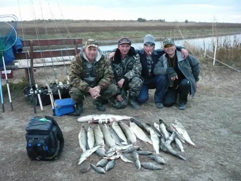 Рыбалка на Ахтубе. Группа рыбаков на Волге. Рыбалка в октябре в Селитренном. Рыбалка на Ахтубе в декабре. Рыбалка на волге сегодня