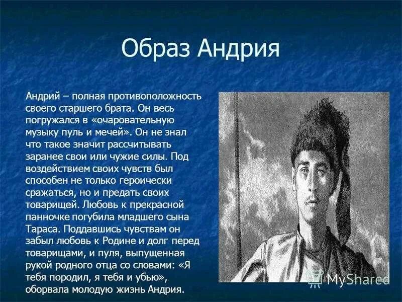 Характеристика андрия портрет