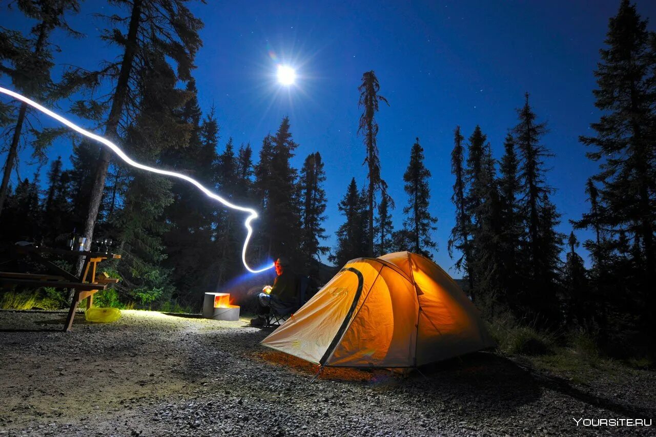 Палатка в лесу. Поход с палатками. Поход ночью. Палатка в лесу ночью. Camping lighting