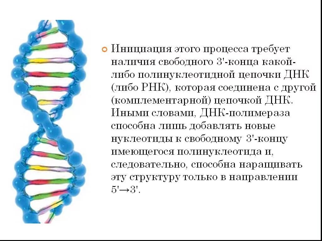 12 цепей днк. Молекулярная структура ДНК расшифрована. Строение молекулы ДНК рисунок. Структуру молекулы ДНК расшифровали. Цепи ДНК названия.