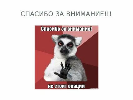 Внимание ничего не стоит