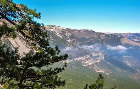 Лесные заповедники крыма