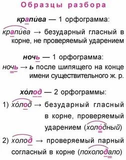 Орфографический разбор слова 5 класс