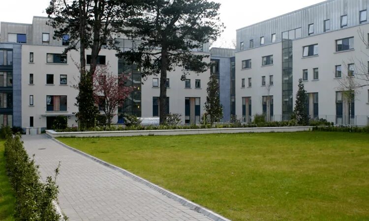 Marino Institute of Education Dublin. Dublin Institute of Design. Emerald Cultural Institute. Mariya Radomski Dublin Institute. Media university