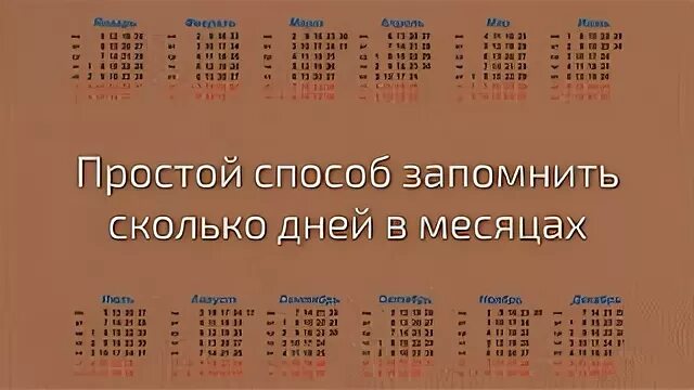 Сколько дней в жизни