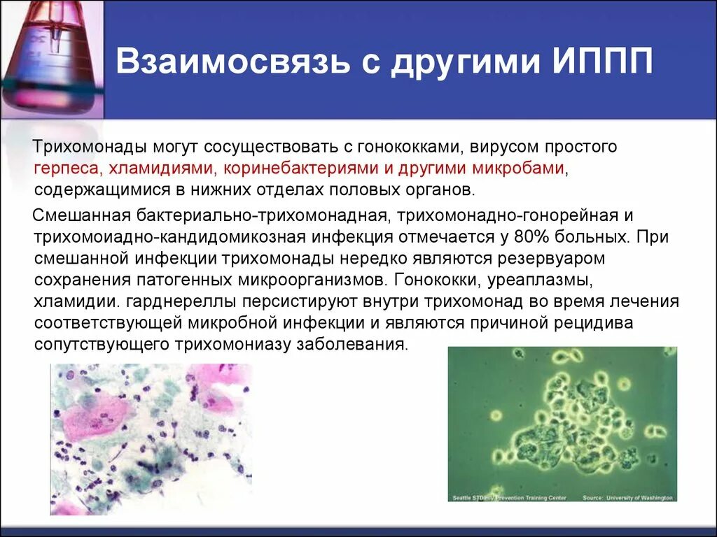 Трихомонада возбудитель заболевания. Трихомонада вызывает заболевание. Классификация болезней передающихся половым путем. Трихомониаз и хламидиоз.