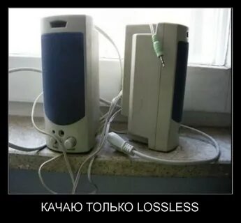 Которую я только что слушал